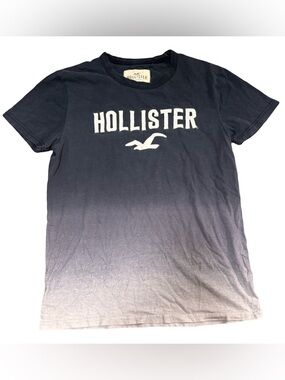 Y2K Hollister Ombre Crewneck Tee with White Logo